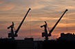 Grues-Saint-Malo