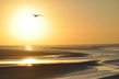 Soleil-couchant-Baie-du-Mont-Saint-Michel